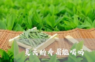 夏天的寿眉能喝吗/2023090804715