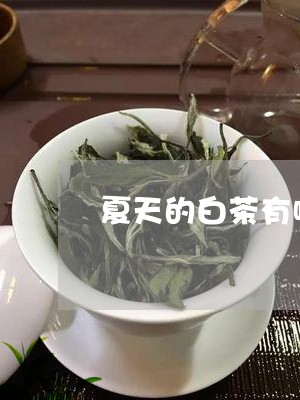 夏天的白茶有哪些/2023061650585