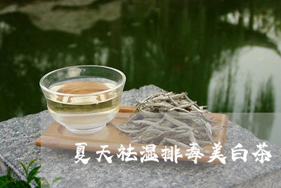 夏天祛湿排毒美白茶/2023071759616