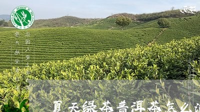 夏天绿茶普洱茶怎么泡好/2023112846168