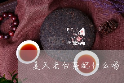 夏天老白茶配什么喝/2023063092614