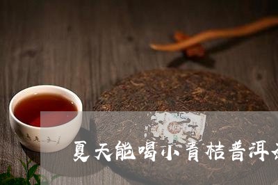 夏天能喝小青桔普洱茶吗/2023112871424