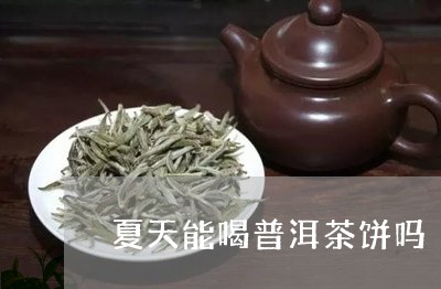 夏天能喝普洱茶饼吗/2023071163815