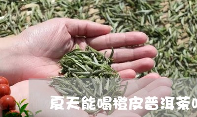 夏天能喝橙皮普洱茶吗女生/2023110282646