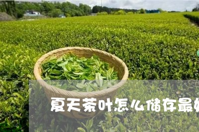 夏天茶叶怎么储存最好/2023061017353