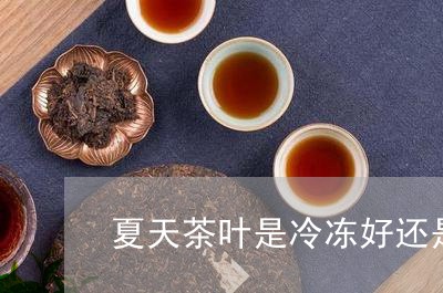 夏天茶叶是冷冻好还是冷藏好/2023052676048