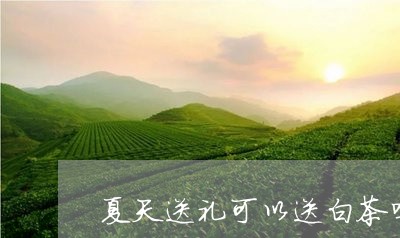 夏天送礼可以送白茶吗/2023111684828