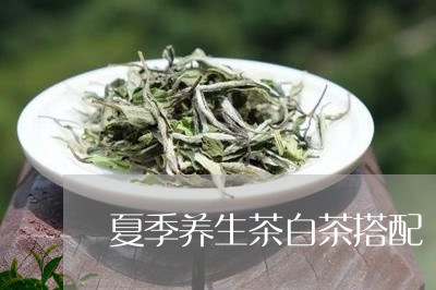 夏季养生茶白茶搭配/2023081420513