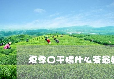 夏季口干喝什么茶最好/2023071373859