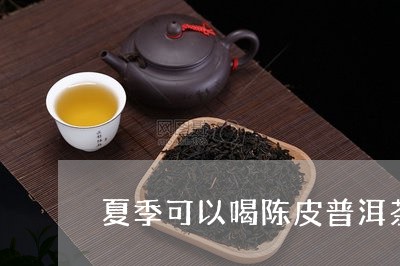 夏季可以喝陈皮普洱茶/2023100523736