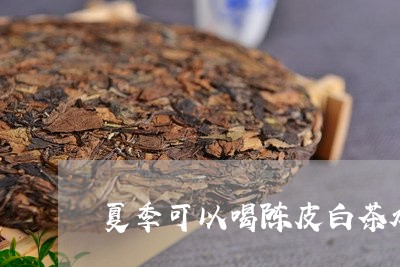 夏季可以喝陈皮白茶水吗/2023101662817