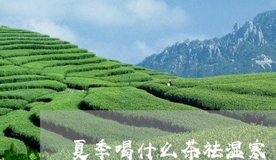 夏季喝什么茶祛湿寒/2023042157283