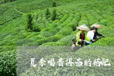 夏季喝普洱茶的搭配/2023120548605