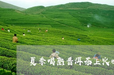 夏季喝熟普洱茶上火吗/2023062049381