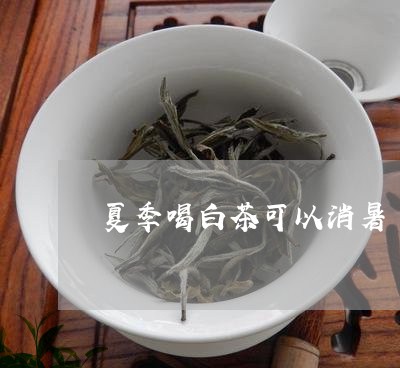 夏季喝白茶可以消暑/2023121845068