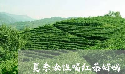 夏季女性喝红茶好吗/2023042110602