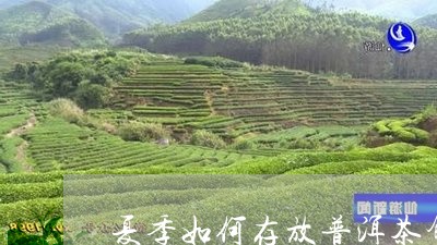 夏季如何存放普洱茶饼呢/2023110332704