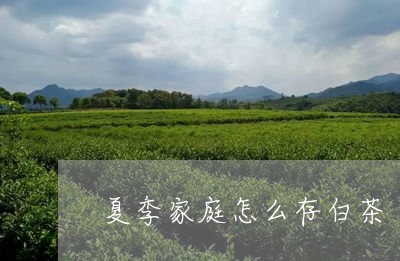 夏季家庭怎么存白茶/2023071603836