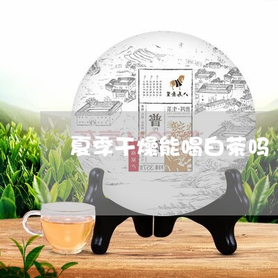 夏季干燥能喝白茶吗/2023071644947