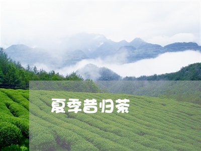 夏季昔归茶/2023090202836