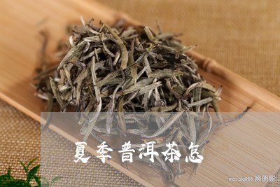 夏季普洱茶怎/2023042819161