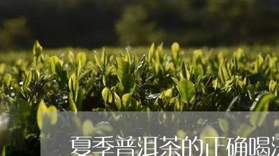 夏季普洱茶的正确喝法/2023062423837