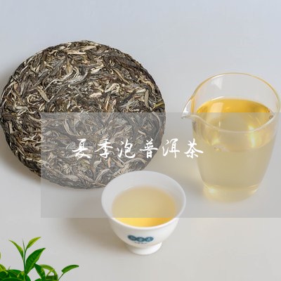 夏季泡普洱茶/2023042636098