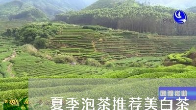 夏季泡茶推荐美白茶/2023071652928