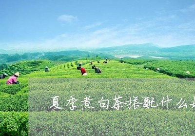 夏季煮白茶搭配什么好/2023092891813