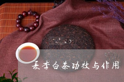 夏季白茶功效与作用/2023071662715