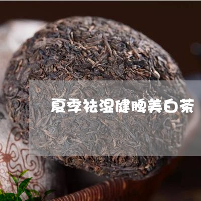 夏季祛湿健脾美白茶/2023121828258