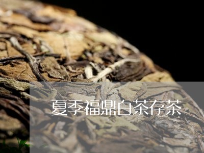 夏季福鼎白茶存茶/2023061667249