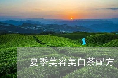 夏季美容美白茶配方/2023121895258