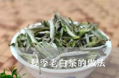 夏季老白茶的做法/2023061686595