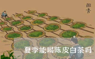 夏季能喝陈皮白茶吗/2023121858270