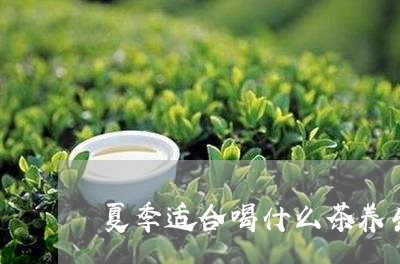 夏季适合喝什么茶养生/2023071327250