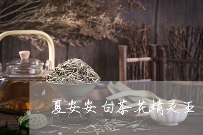 夏安安白茶花精灵王/2023071647582