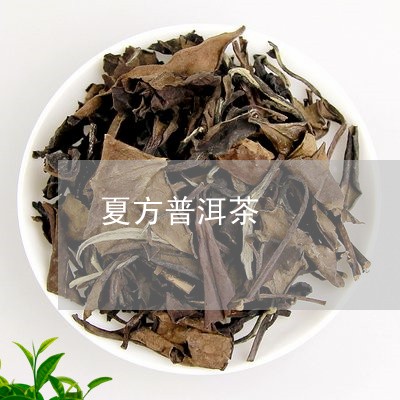 夏方普洱茶/2023112668583