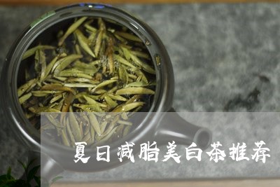 夏日减脂美白茶推荐/2023071643048