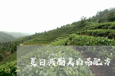 夏日减脂美白茶配方/2023071667361