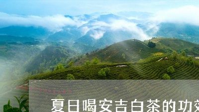 夏日喝安吉白茶的功效/2023092843925