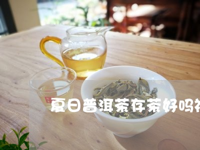 夏日普洱茶存茶好吗视频/2023112754804