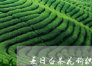 夏日白茶花钩织教程/2023071668592