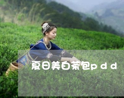 夏日美白茶包pdd/2023121817471