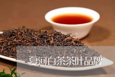 夏河白茶茶叶品牌/2023061763726