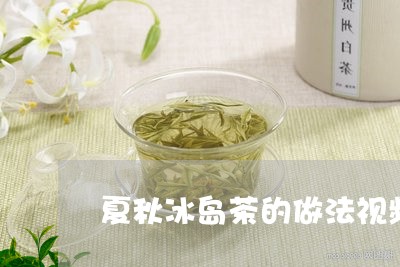 夏秋冰岛茶的做法视频/2023092346250