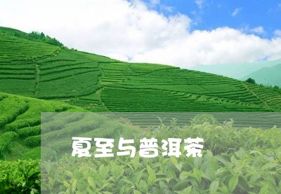 夏至与普洱茶/2023042769077