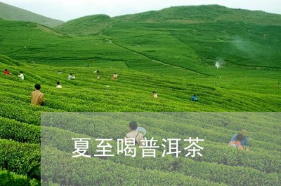 夏至喝普洱茶/2023042675326