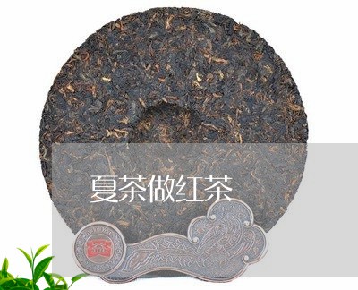 夏茶做红茶/2023090233702