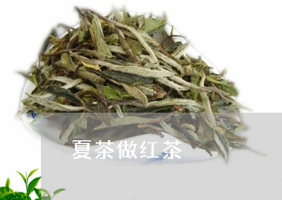 夏茶做红茶/2023121942605